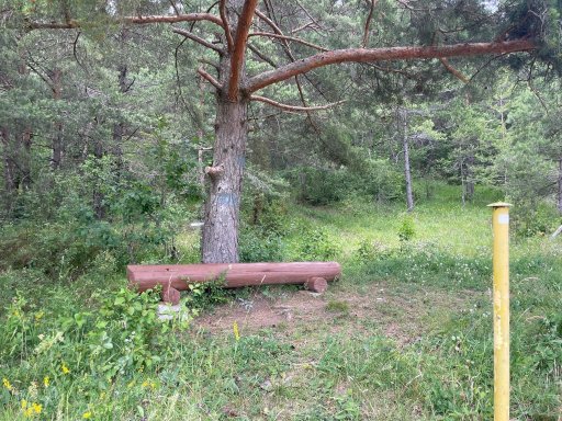 Malá Čierna - Sedlo Marek