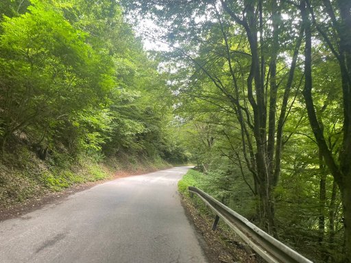 Družstevná pri Hornáde - Trebejov
