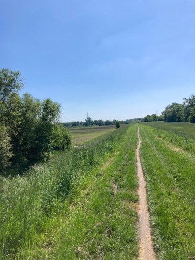 Nové Mlýny - Bulhary