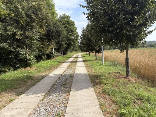 Křimice – Radčice
