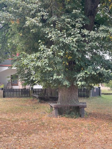 Vlkanová - Hronsek