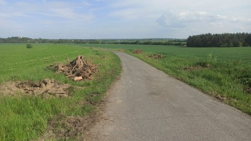Uhřiněves - směr Královice