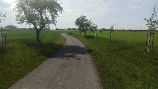 Uhřiněves - směr Královice