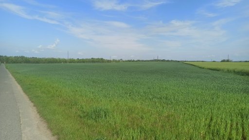 Uhřiněves - směr Královice