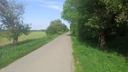 Uhřiněves - směr Královice