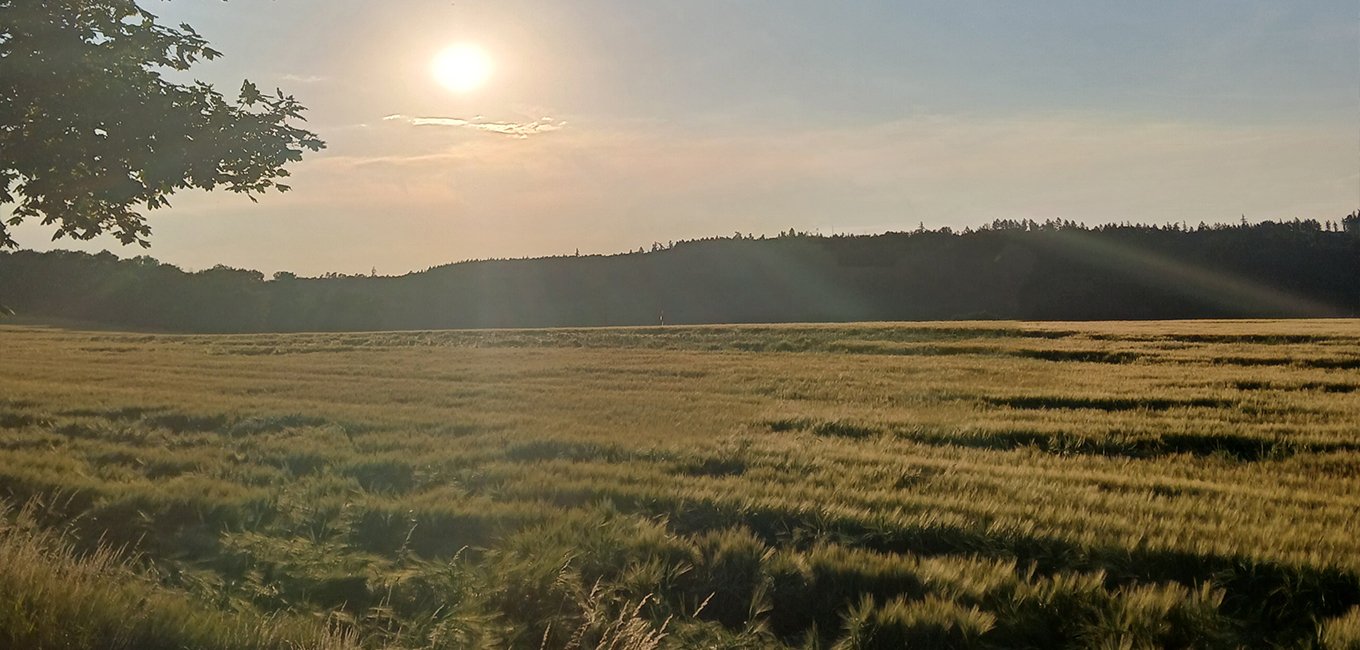 Kovákov - Mrsklesy