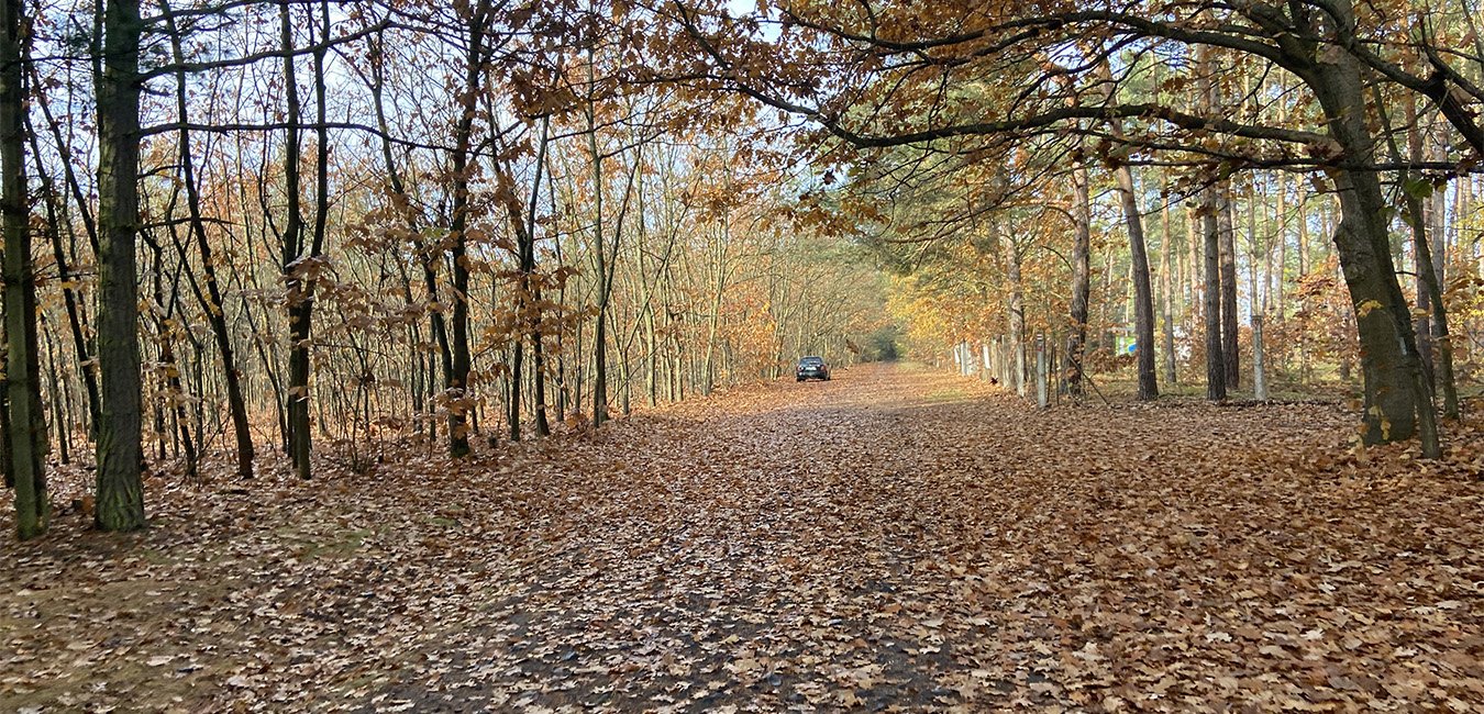 Hlavenec - Konětopy