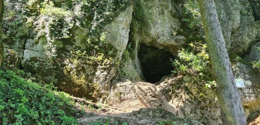 Rozcestník u Zamarovských Jamách - Opatovská jezkyně