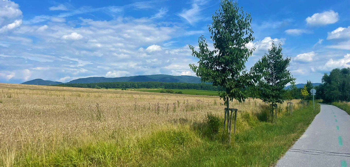 Vlčie Doly - Vodná nádrž Sigord