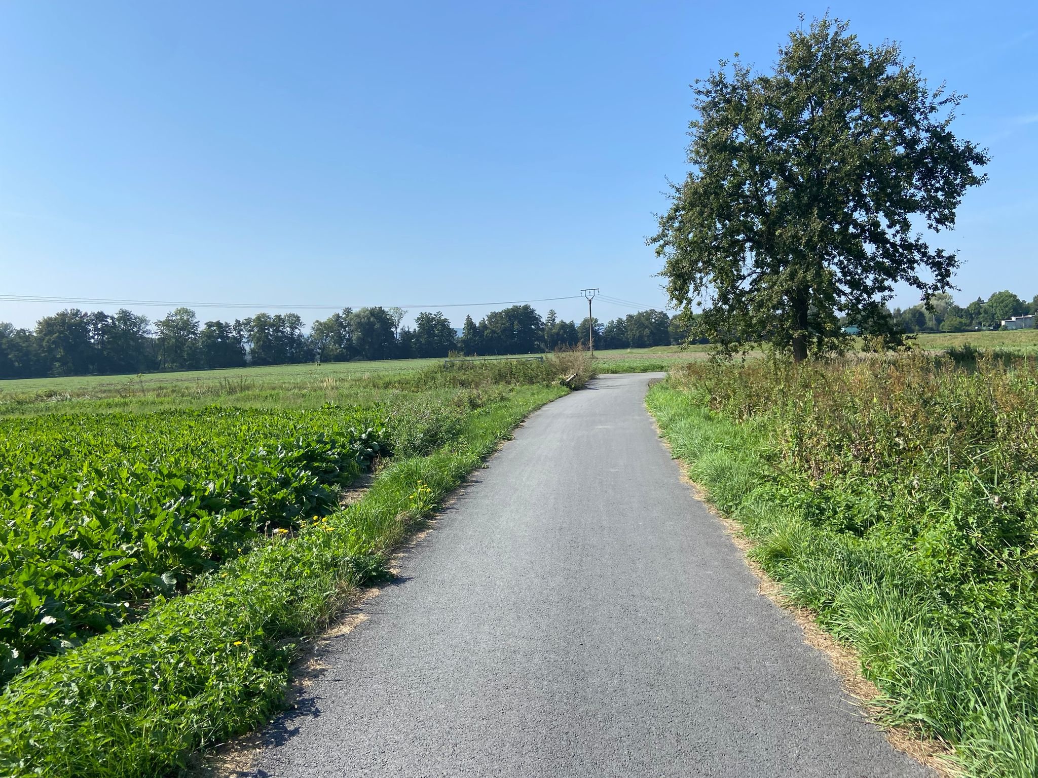Kravaře - Velké Hoštice