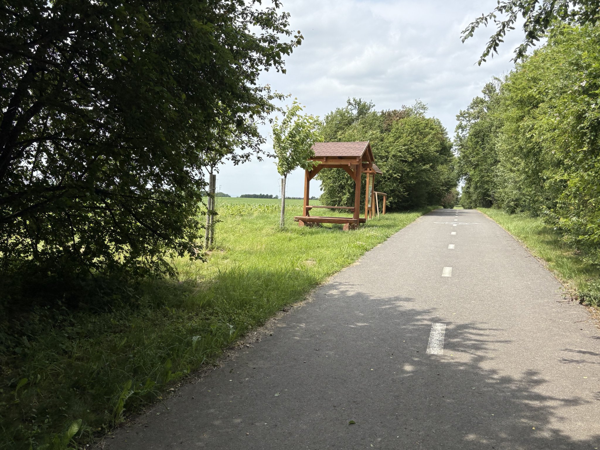 Daskabát - Doloplazy