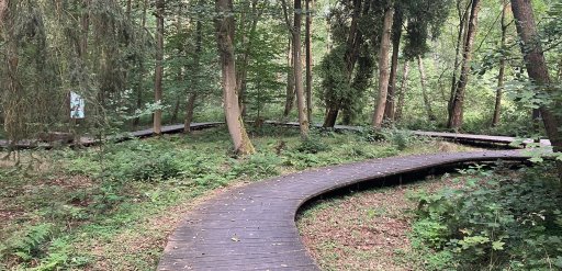 Františkovy Lázně - Park Amerika