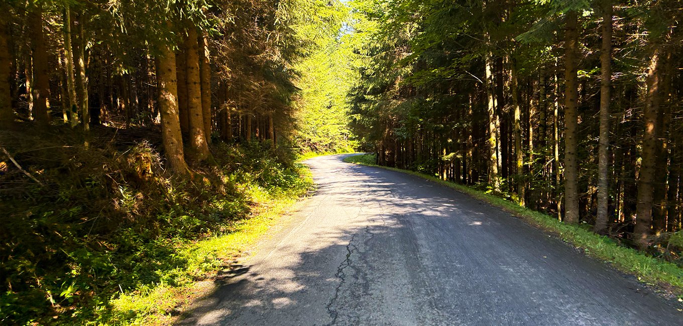 Nádrž Nýrsko - Špičácké sedlo