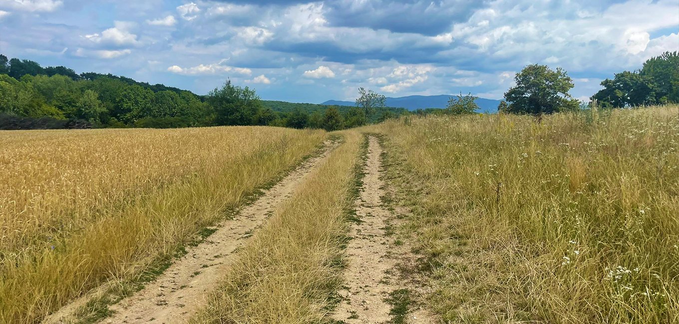 Vrch Stádlo - Malkovská hôrka