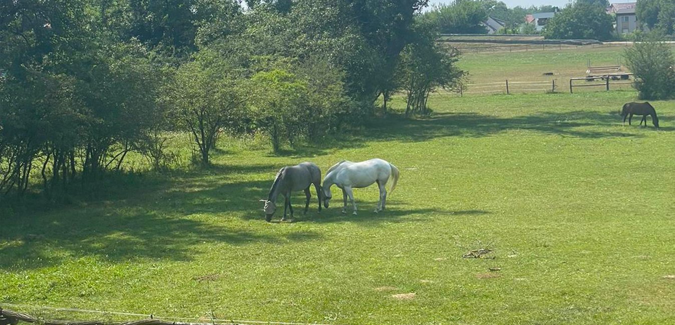 Piešťany - Horná Streda