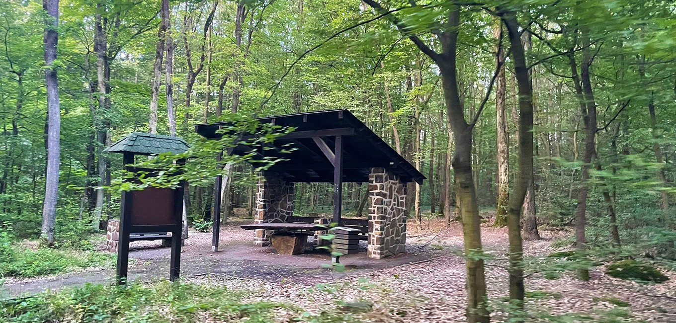 Lesopark Furča - Zelený dvor