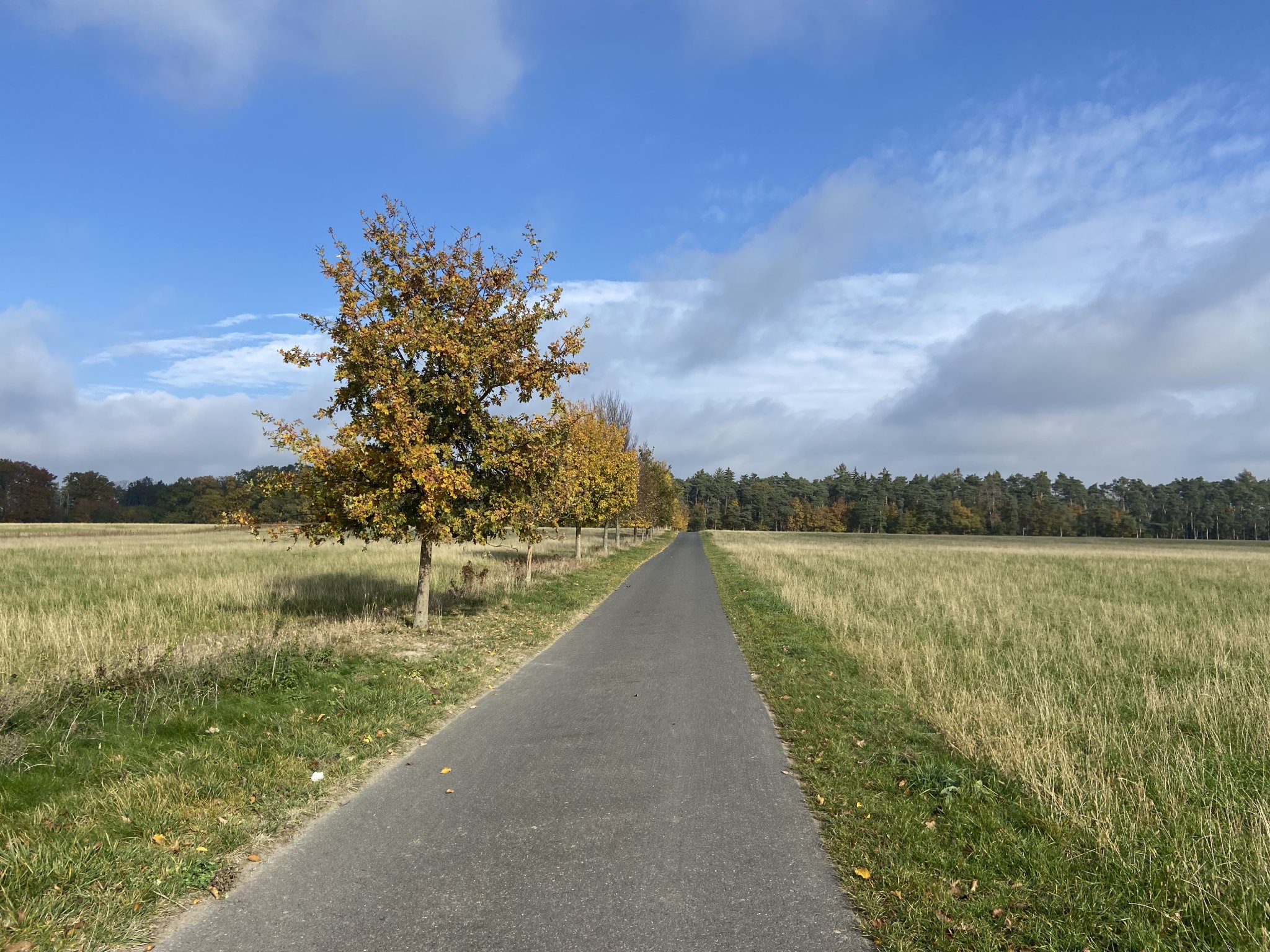 Okruh Byšice - Hostín