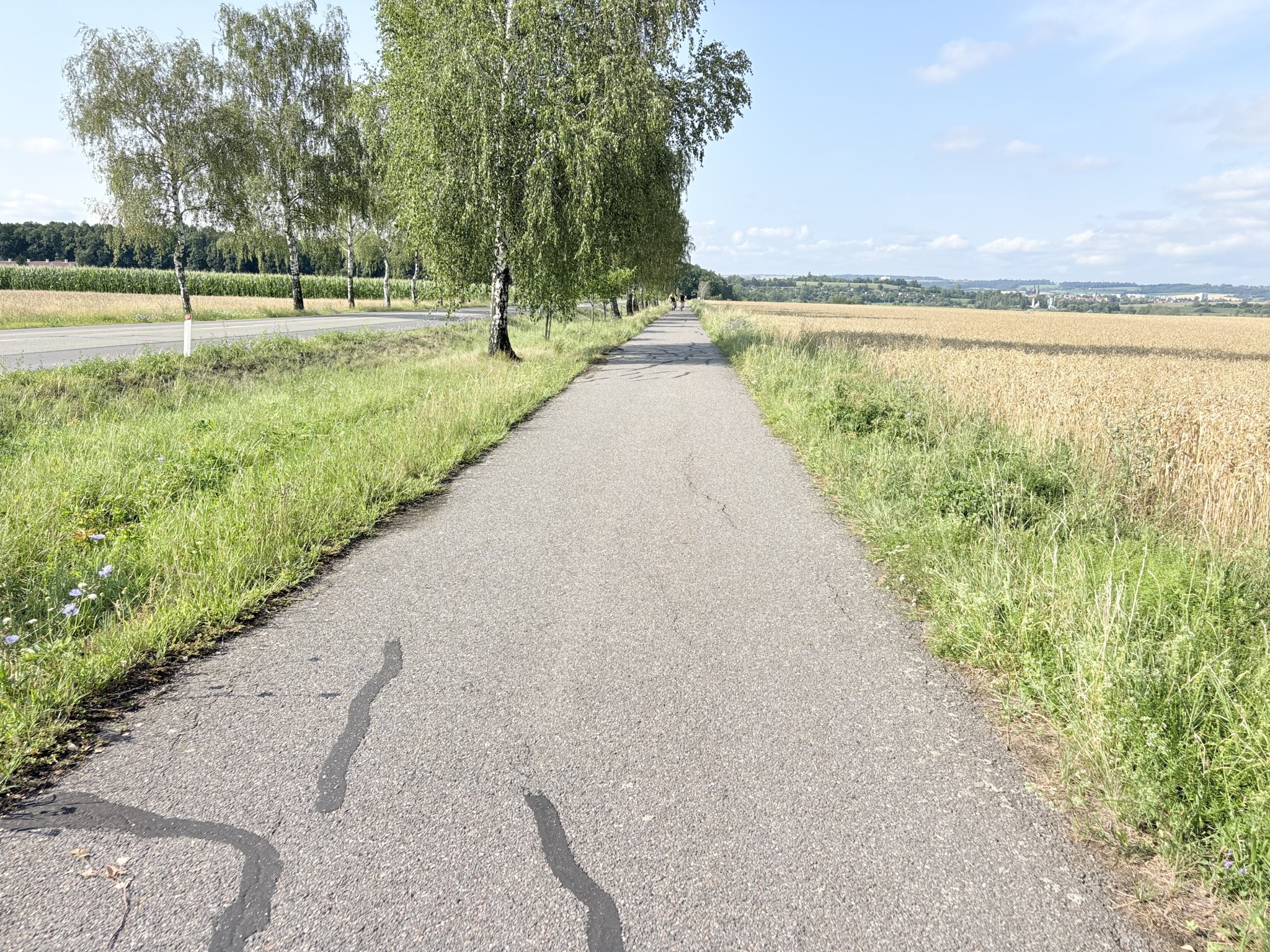 Dvořisko – Vysoké Mýto