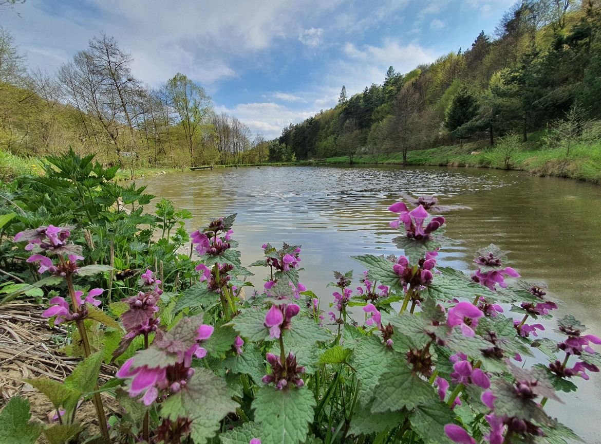 Radatice - Jezero Kujava
