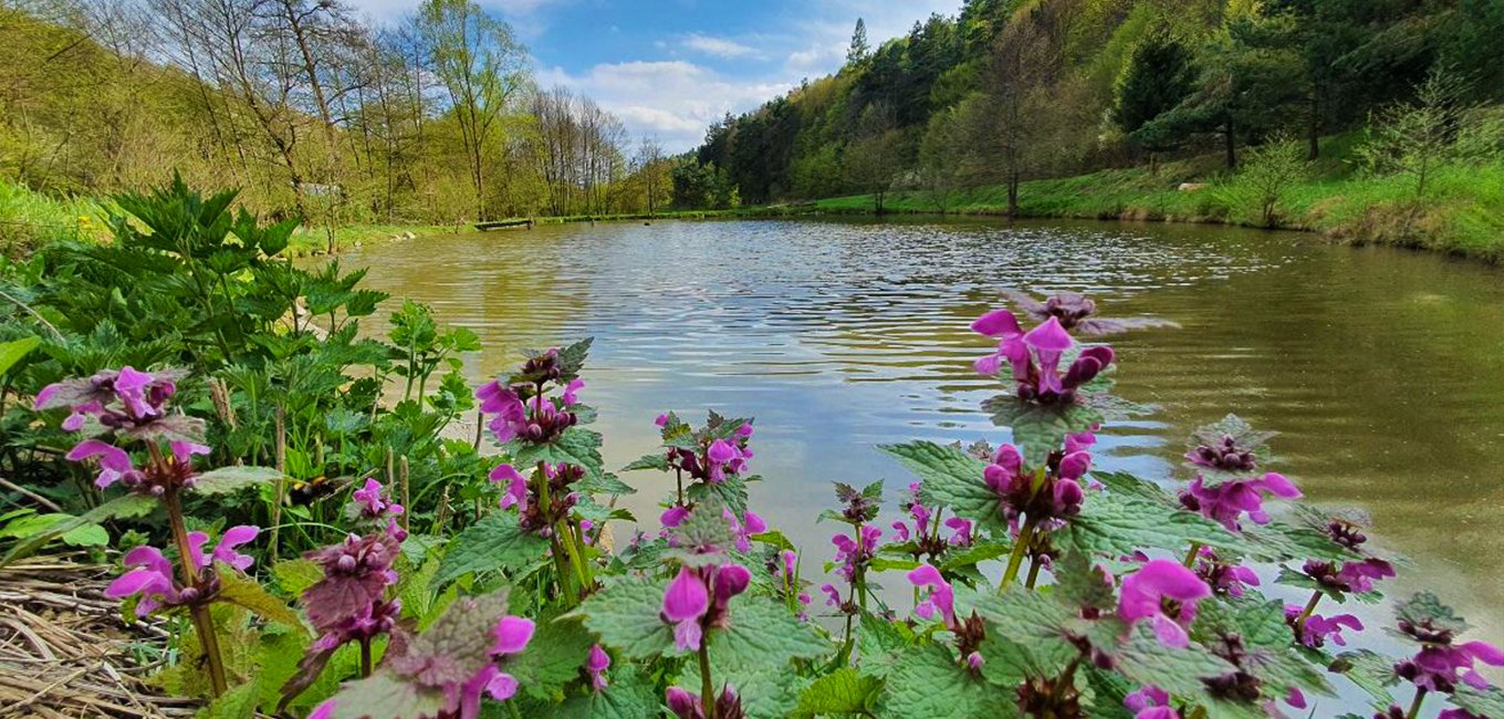 Radatice - Jezero Kujava