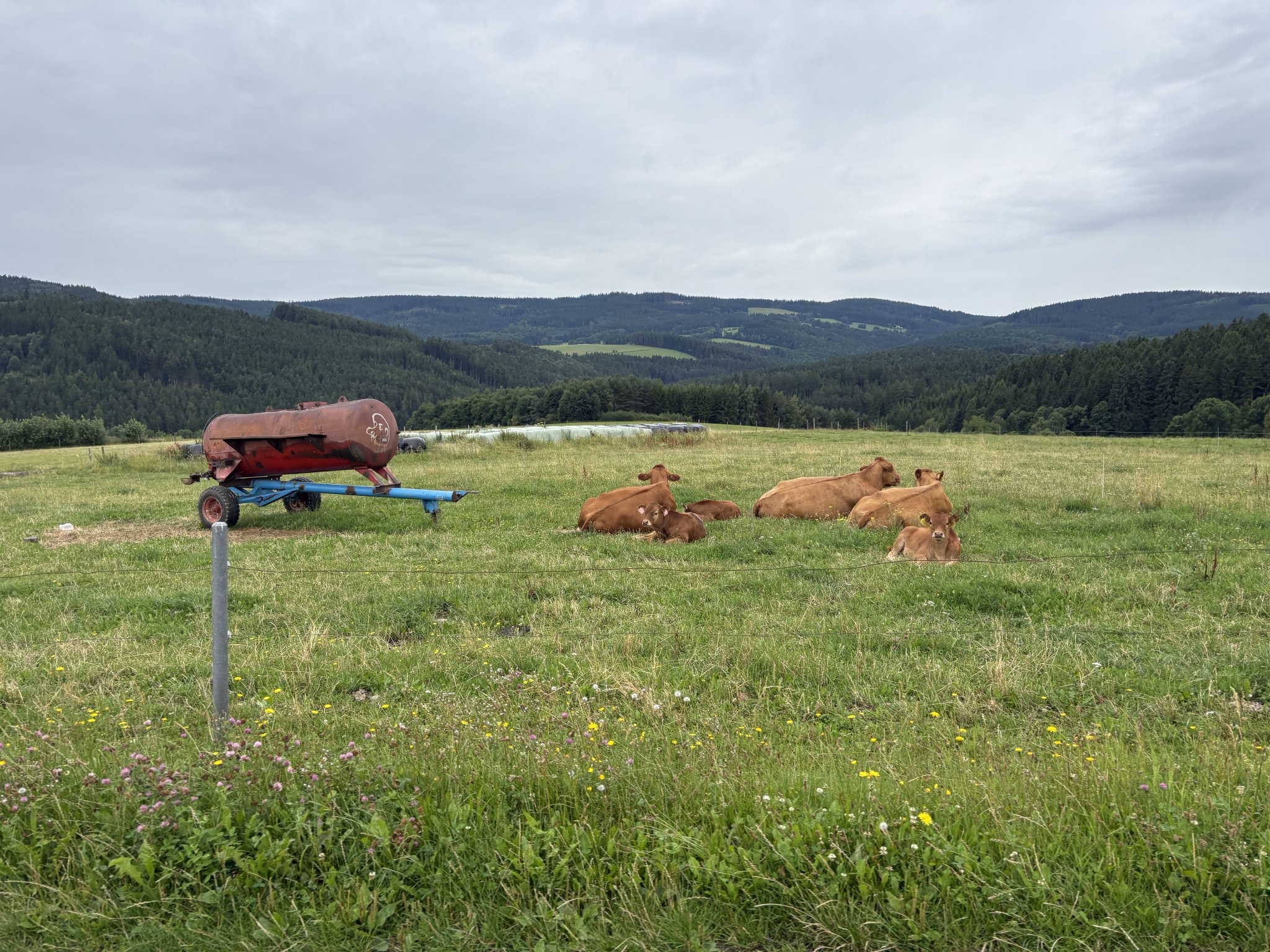 Hlavňovice – Vojetice