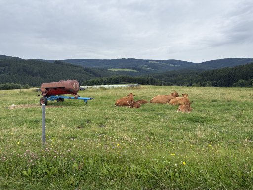 Hlavňovice – Vojetice