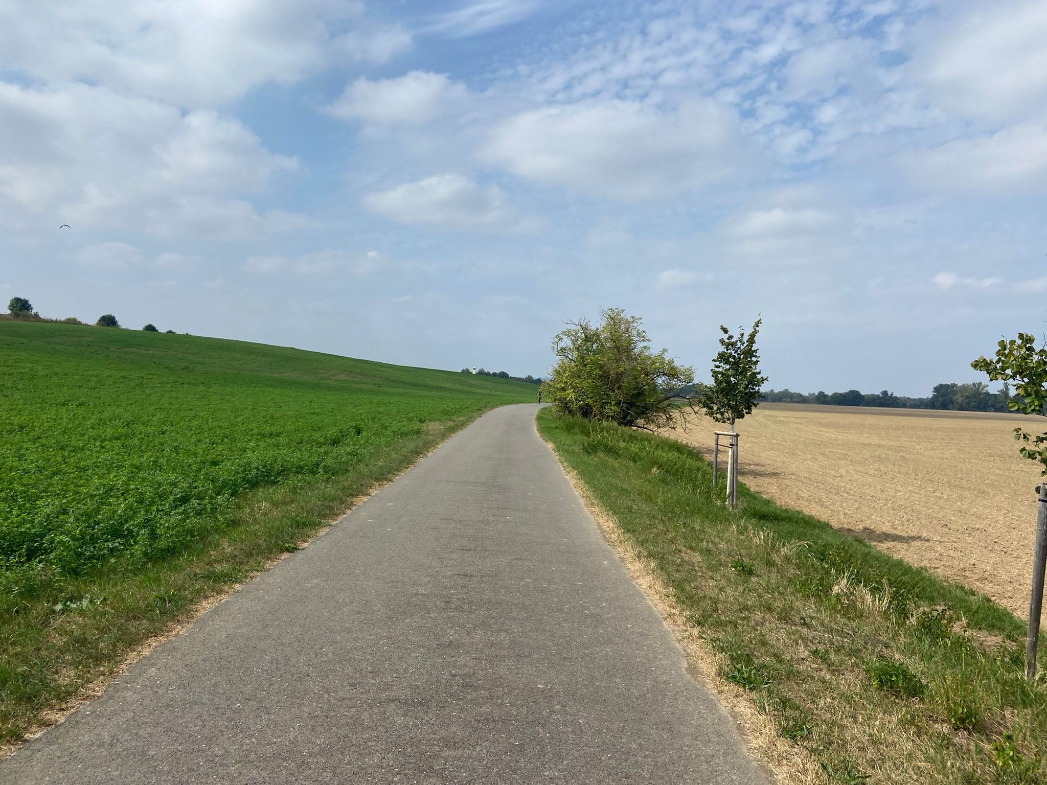 Holasovice - Skrochovice
