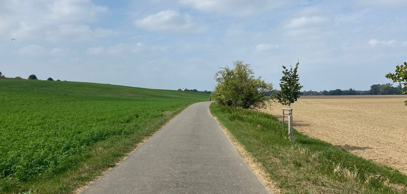 Holasovice - Skrochovice
