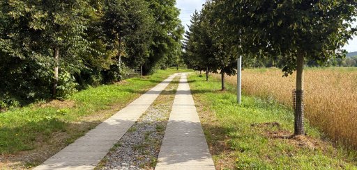 Křimice - Radčice