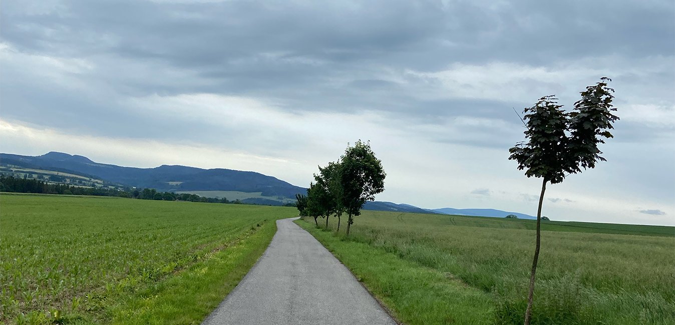 Cesta v Petrovicích