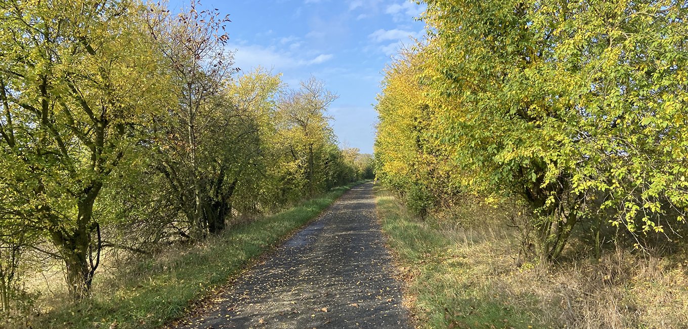 Konětopy - Liblice