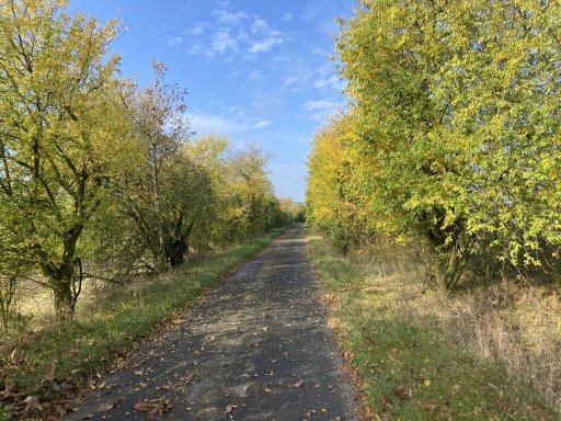 Konětopy - Liblice