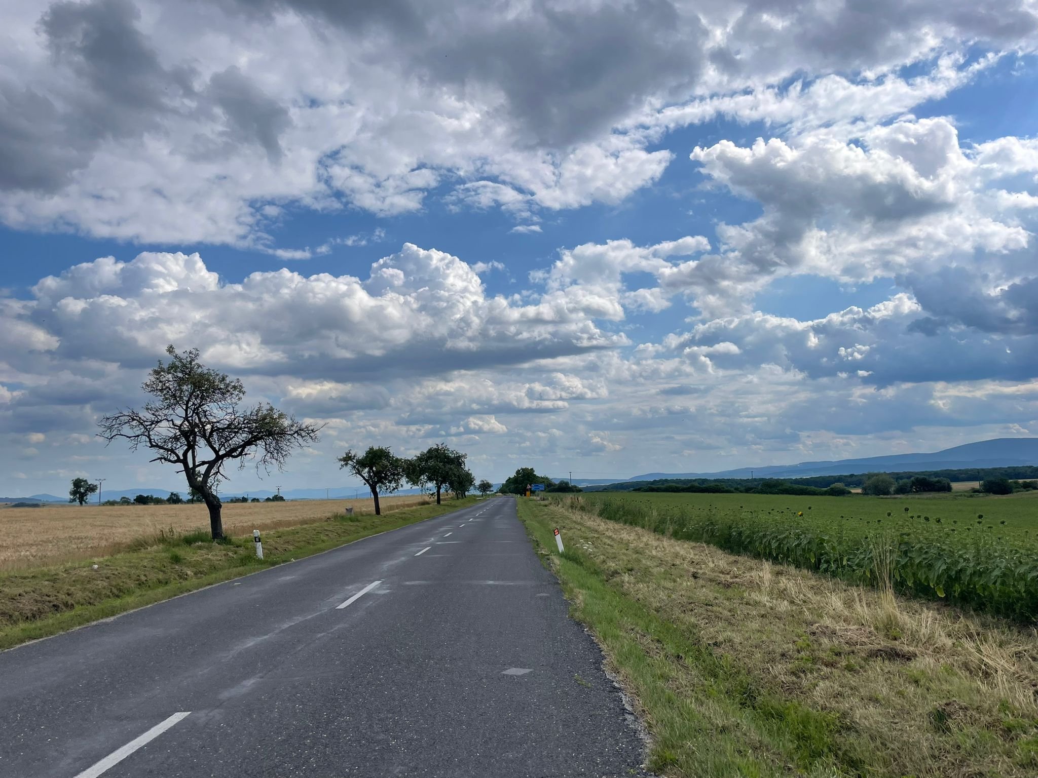 Brestov - Šarišské Bohdanovce