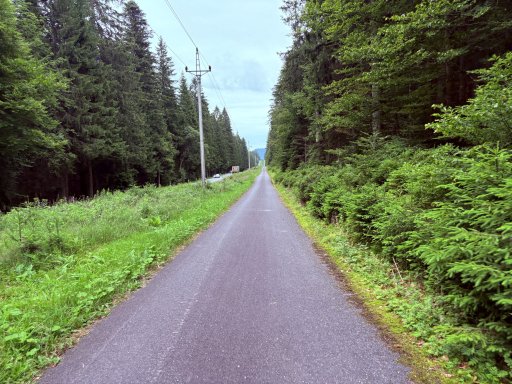 Cyklotrasa Nová Hůrka