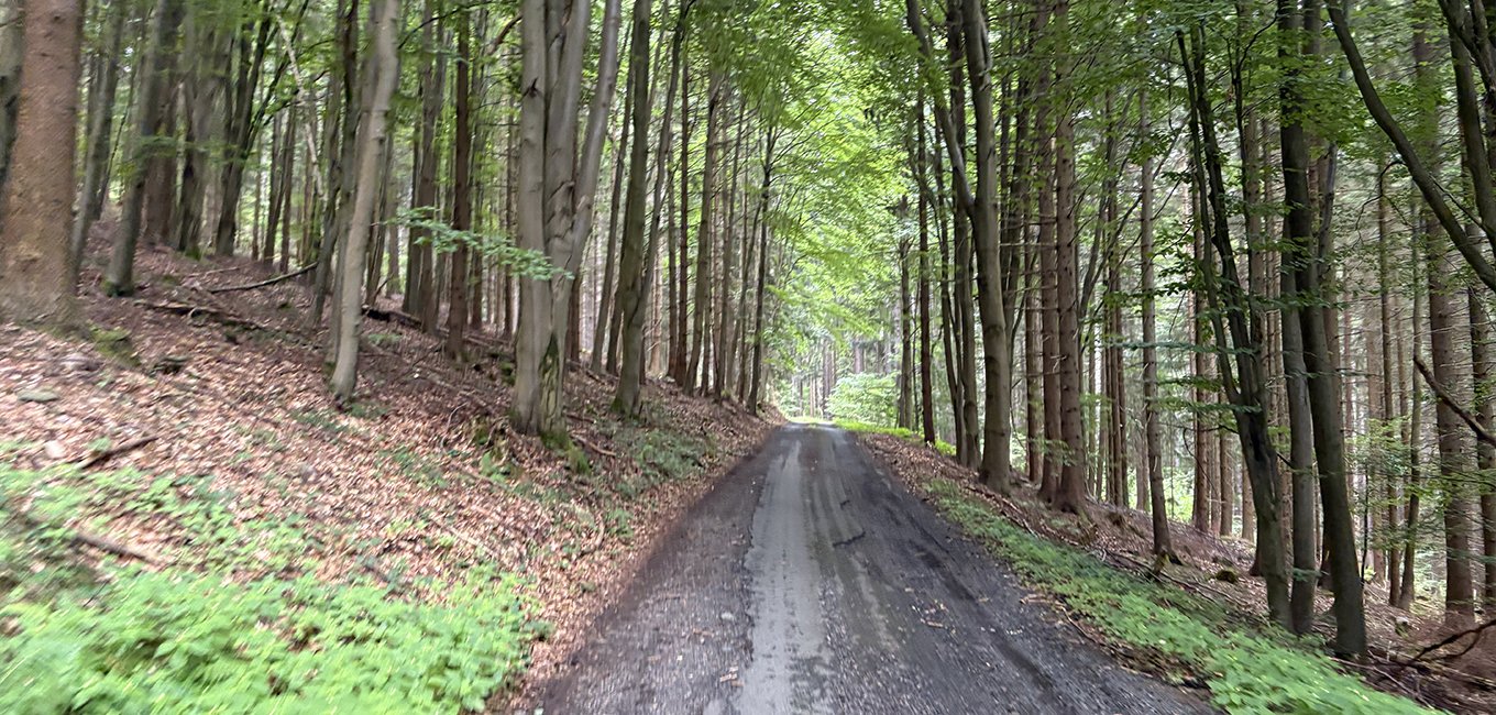 Onen Svět - Javorná