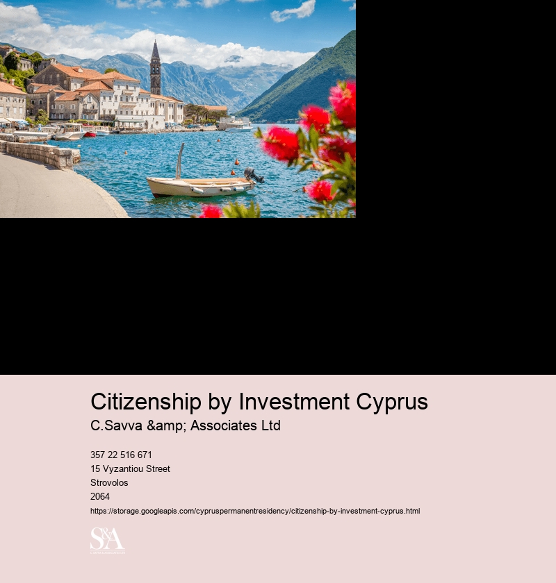 Investor Immigration Firm Cyprus