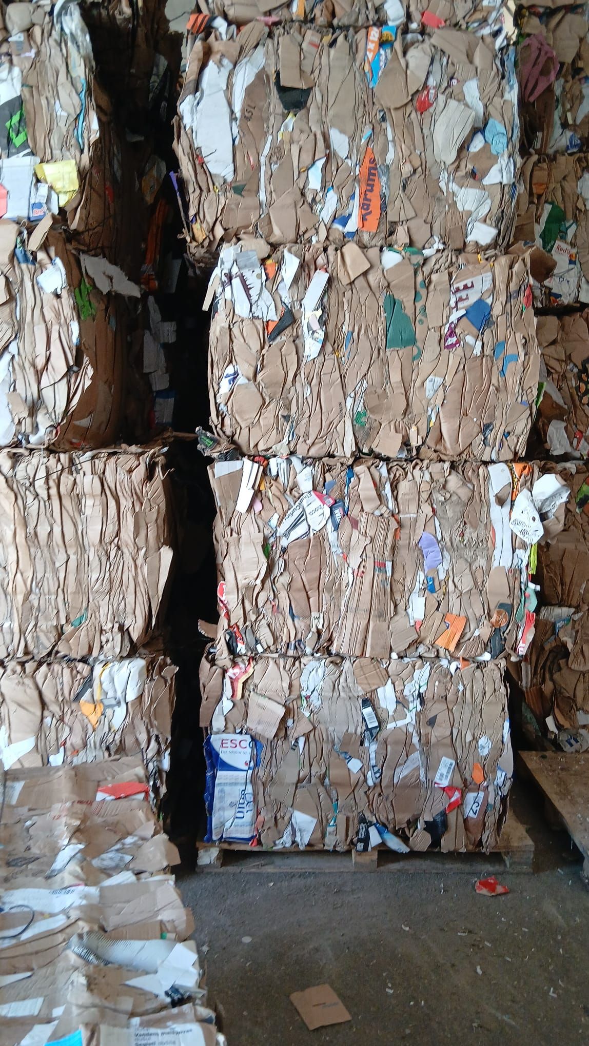 Selling, cardboard — Cyrkl