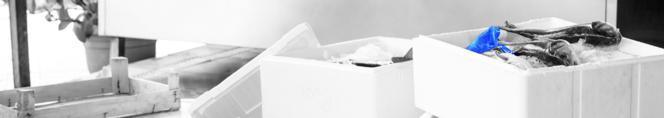 Company cover image