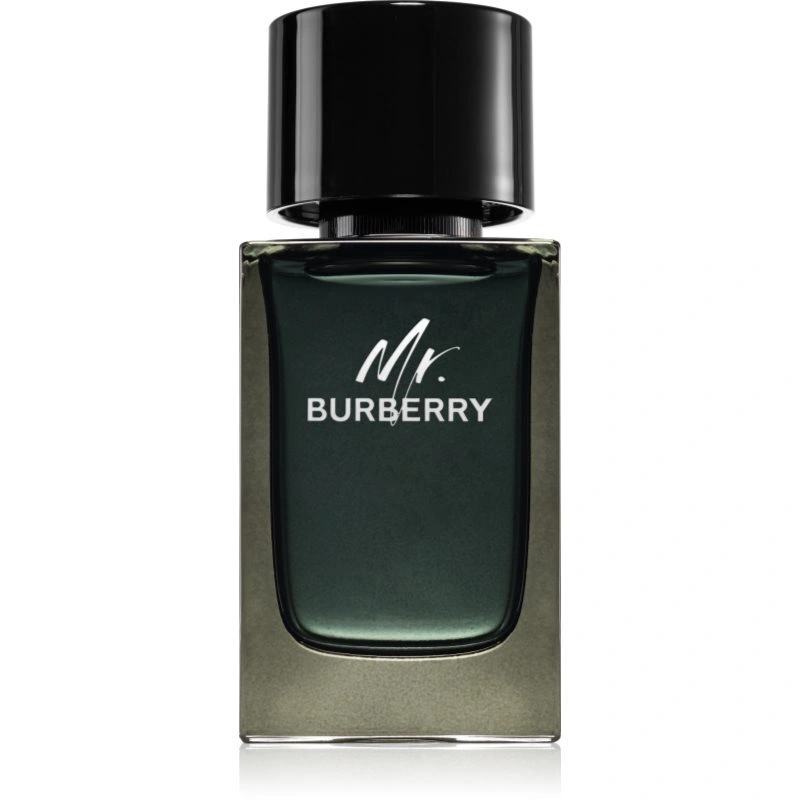 Burberry Mr. Burberry Eau de Parfum per uomo 100 ml