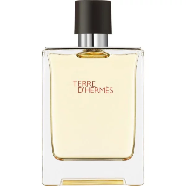 HERMÈS Terre d’Hermès Eau de Toilette per uomo 100 ml