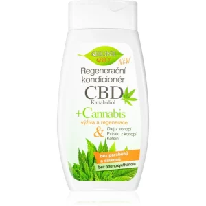 Bione Cosmetics Cannabis CBD balsamo rigenerante per capelli 260 ml