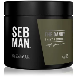 Sebastian Professional SEB MAN The Dandy pomata per capelli per un fissaggio naturale 75 ml