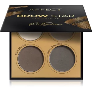 Affect Brow Star palette per sopracciglia con tonalità di ombretto in polvere 4x2 g