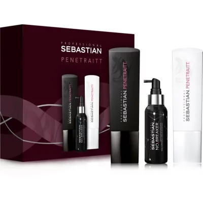 Sebastian Professional Penetraitt zestaw upominkowy do włosów zniszczonych zabiegami chemicznymi
