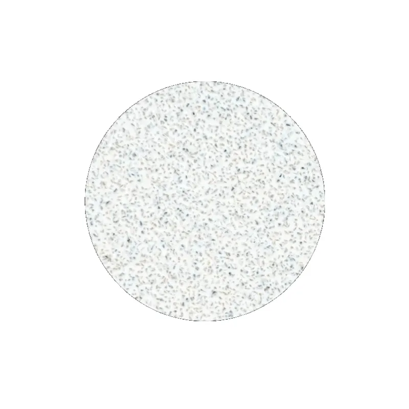 STALEKS Hârtie abrazivă de rezervă pentru disc de pedichiură Pro L granulație 80 (White Refill Pads for Pedicure Disc) 50 buc