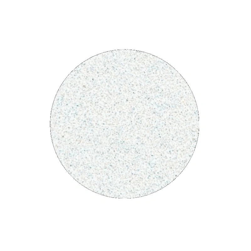 STALEKS Hârtie abrazivă de rezervă pentru disc de pedichiură Pro L granulație 100 (White Refill Pads for Pedicure Disc) 50 buc