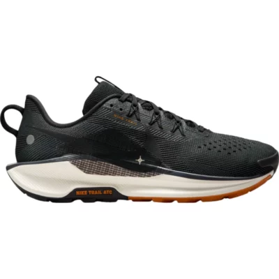 Pantofi trail Nike Pegasus Trail 5