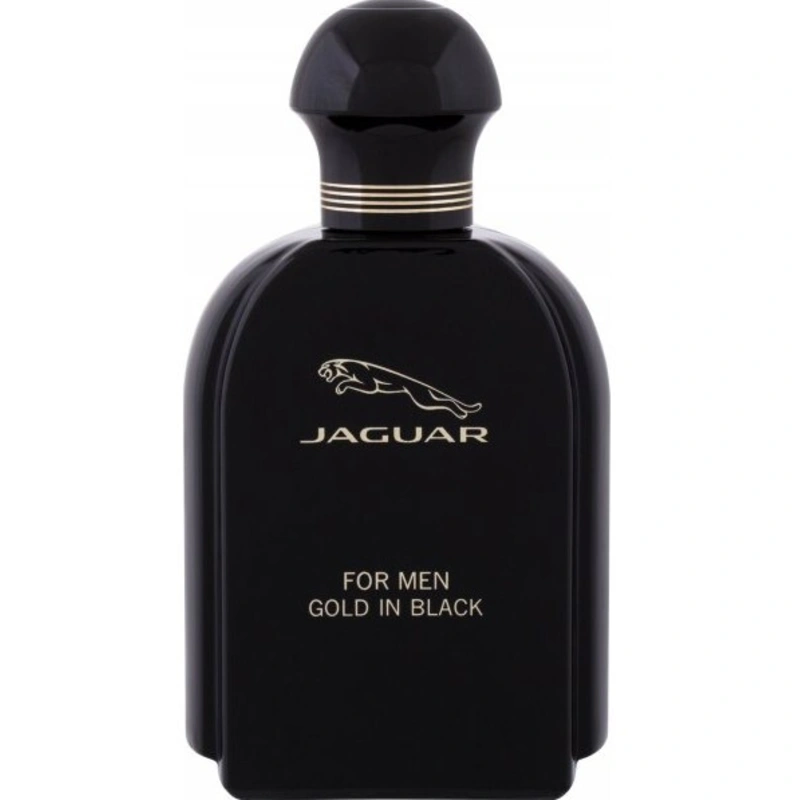 Jaguar For Men Gold In Black - EDT 100 ml