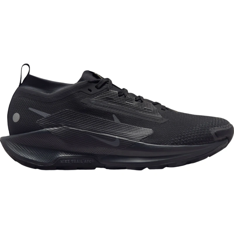 Pantofi trail Nike Pegasus Trail 5 GORE-TEX