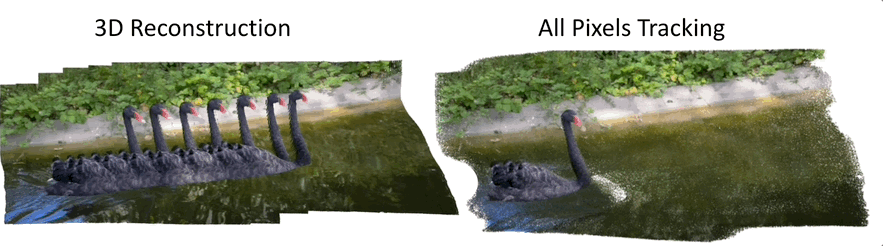 D4RT capabilities right